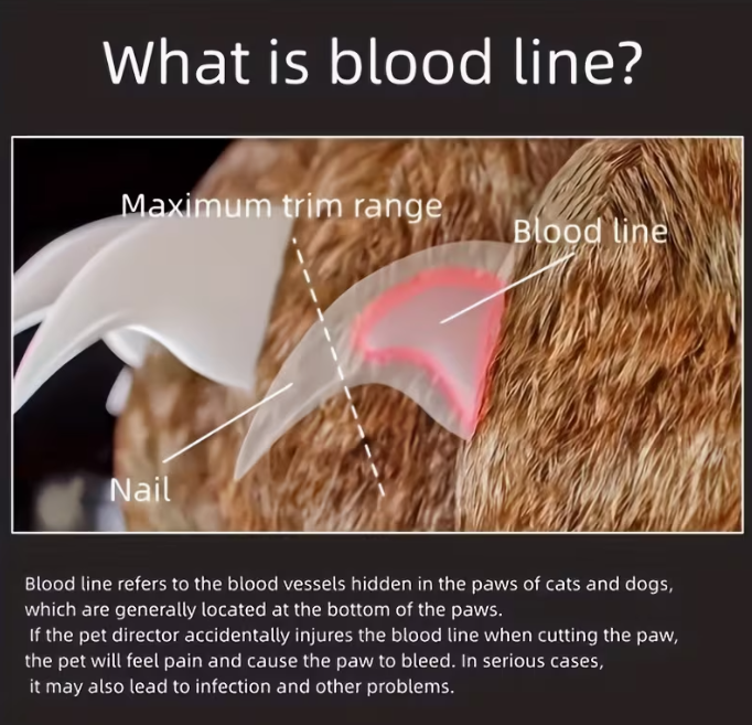 Baobab™ LED SafeTrim Pet Nail Clipper