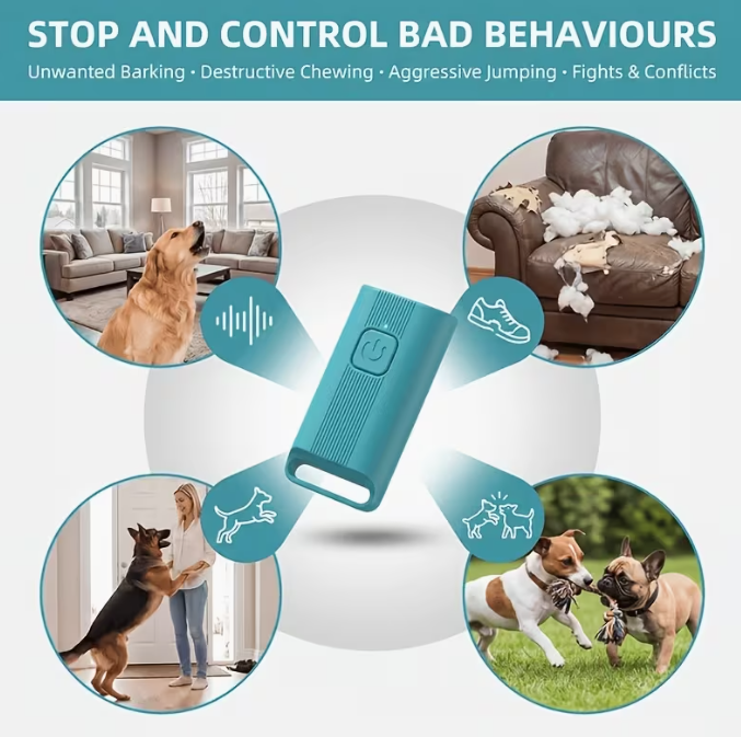 Baobab™ CalmCommand Dog Training Device