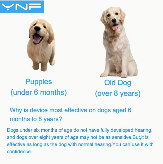 Baobab™ CalmCommand Dog Training Device