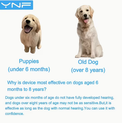 Baobab™ CalmCommand Dog Training Device