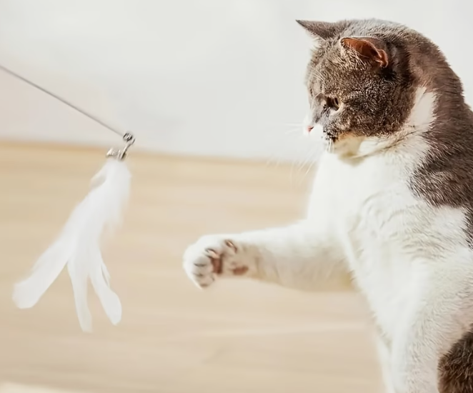 Baobab™ FeatherFly Cat Teaser